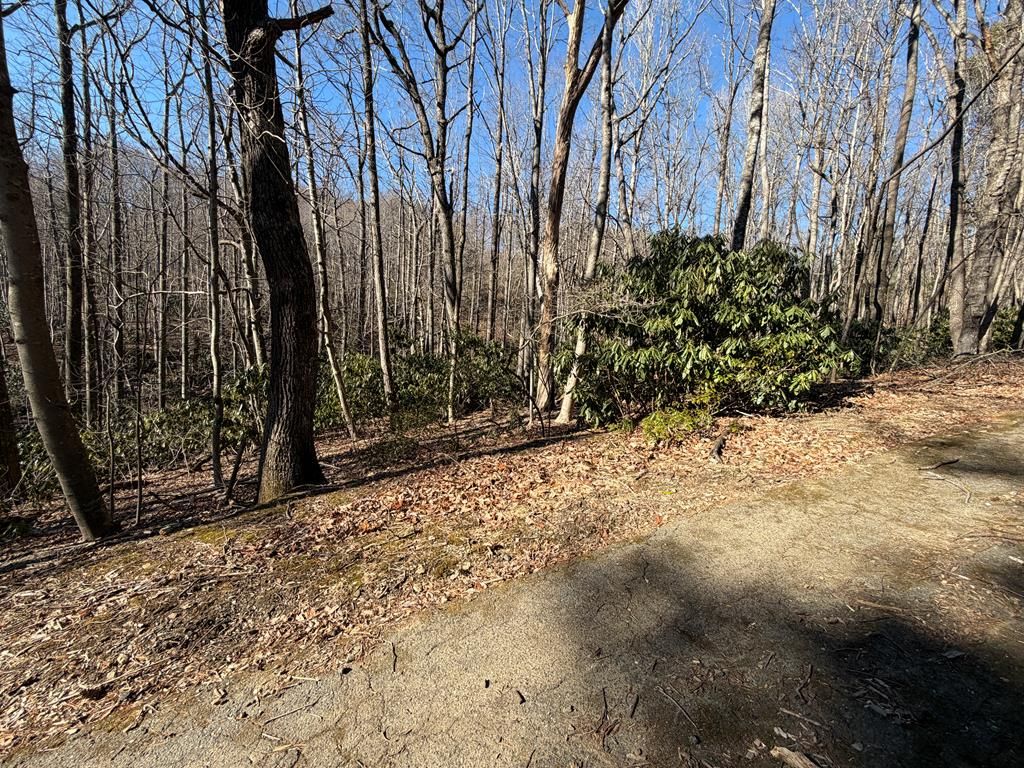 Photo of TBD Laurel Way #6, Fancy Gap, VA 24328 (MLS # 104532)