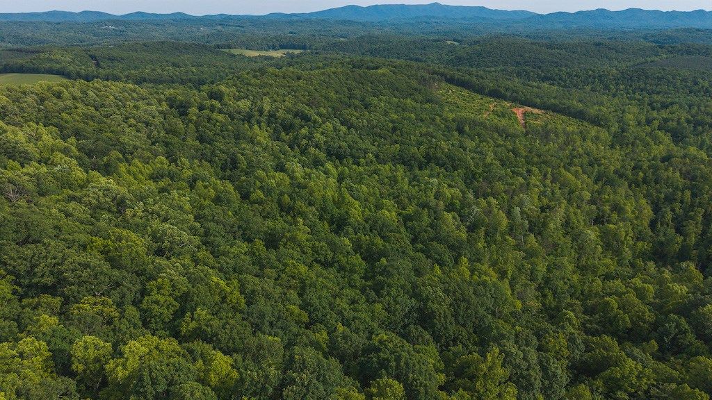Photo of 5 Shortcut Dr #5, Woolwine, VA 24185 (MLS # 100513)