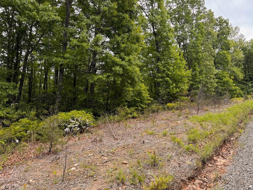 Photo of 5 Shortcut Dr #5, Woolwine, VA 24185 (MLS # 100513)