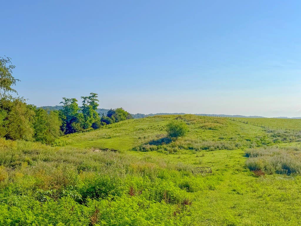 Photo of 1620 Austinville Rd, Max Meadows, VA 24360 (MLS # 111039)