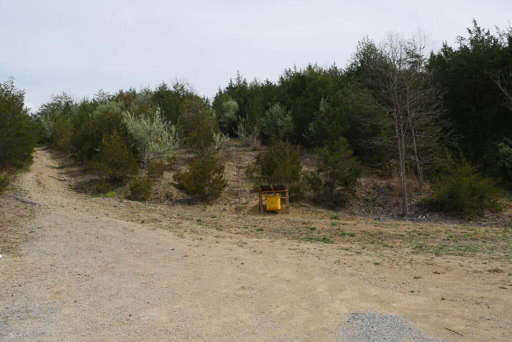 Photo of TBD Nickelsville Highway #0, Gate City, VA 24251 (MLS # 111505)