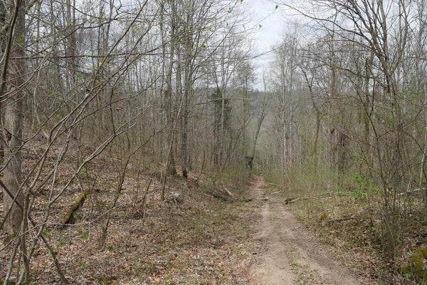 ADDRESS PRIVATE, GATE CITY, VA 24251 - Image f2f6cf30c5fa6b1c3f8d69ca4f9e0bba/2928951922