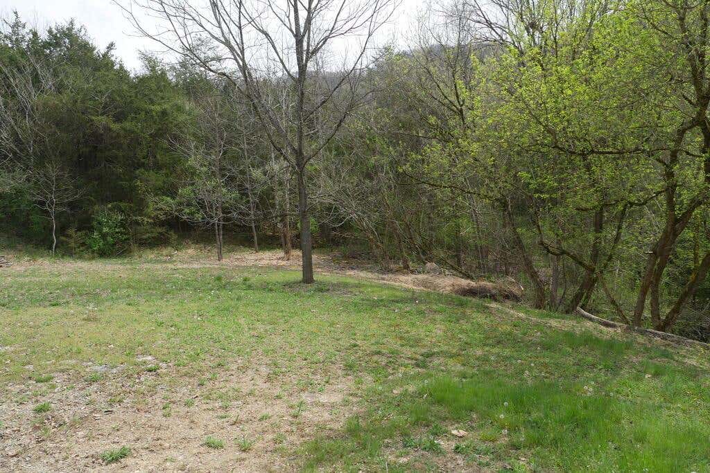 Photo of TBD Nickelsville Highway #0, Gate City, VA 24251 (MLS # 111505)