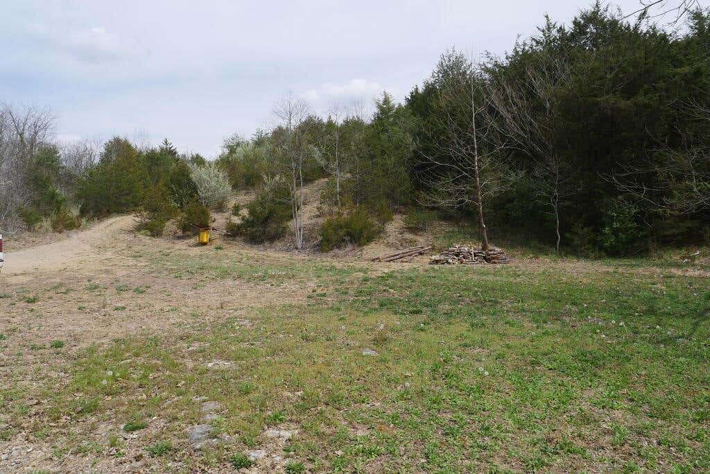 Photo of TBD Nickelsville Highway #0, Gate City, VA 24251 (MLS # 111505)