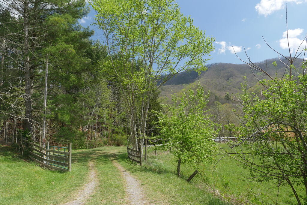 4020 Freestone Valley Road
