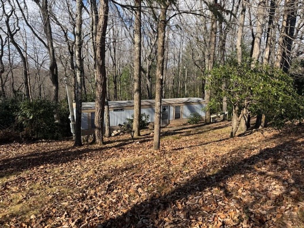 Photo of 952 Apache Trl, Fancy Gap, VA 24328 (MLS # 104222)