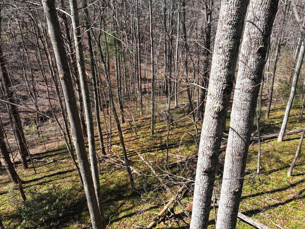 Photo of 00 Flatridge Road #0, Cana, VA 24317 (MLS # 109259)