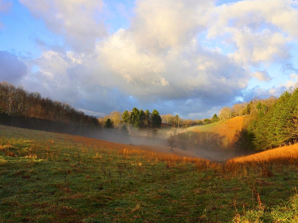 Photo of 892 Ward Branch Rd #0, Rural Retreat, VA 24368 (MLS # 109250)