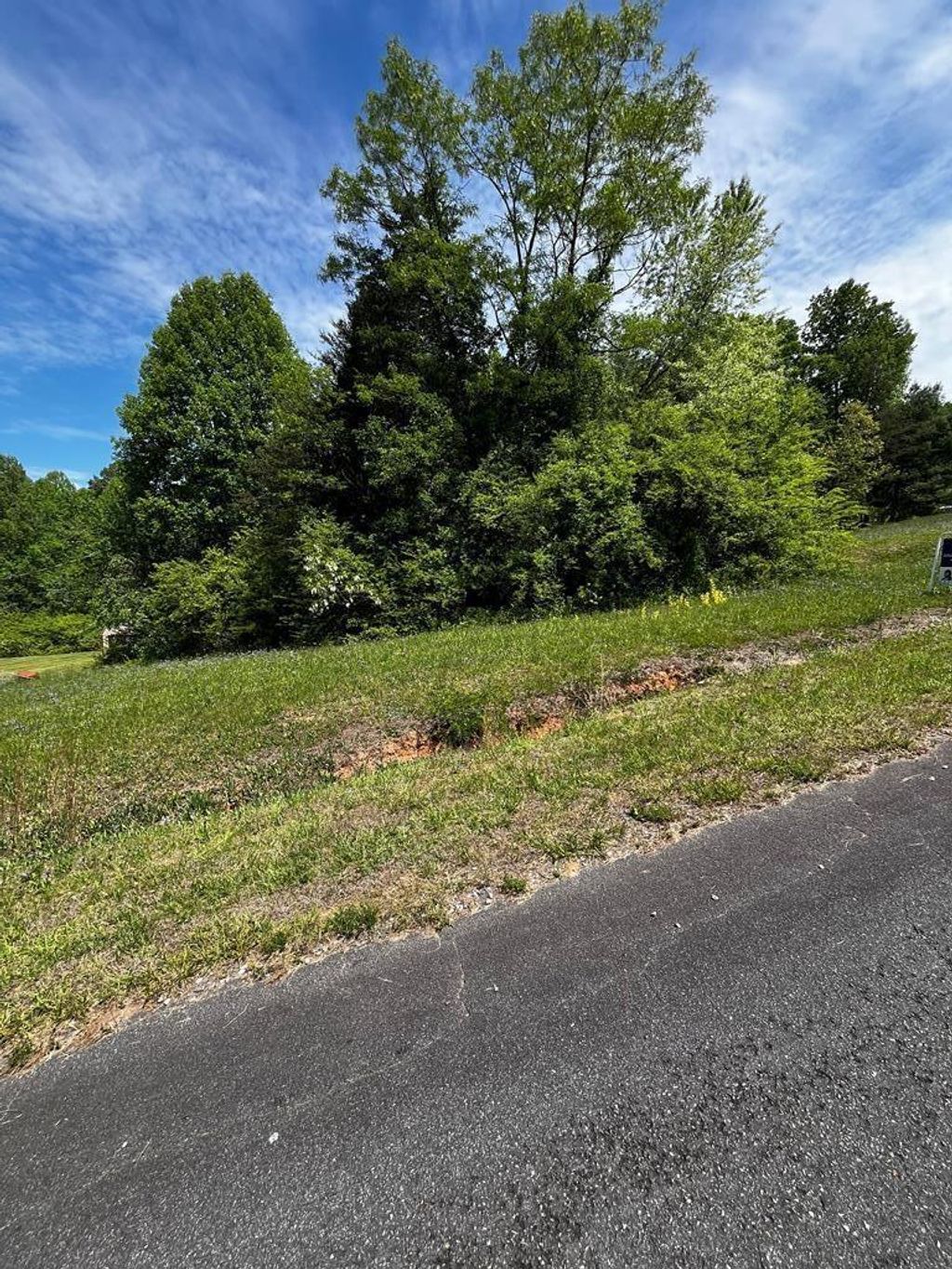 Photo of 00000 Virgilina Circle #40A, 47, 47A, Cana, VA 24317 (MLS # 104456)