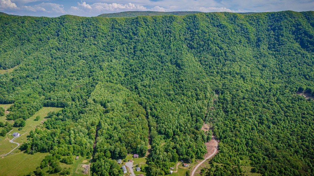 Photo of TBD S Cedar Acres #NA, Lebanon, VA 24266 (MLS # 110286)