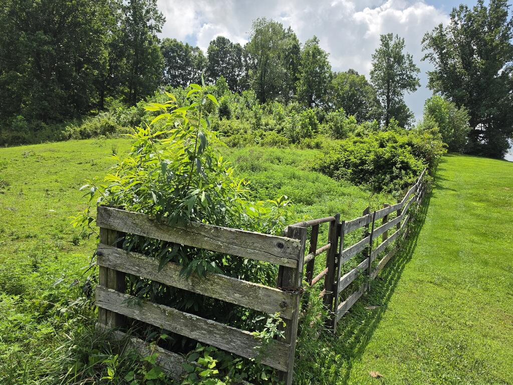 Photo of 0 Plum Creek Rd #A, Glade Spring, VA 24340 (MLS # 111393)