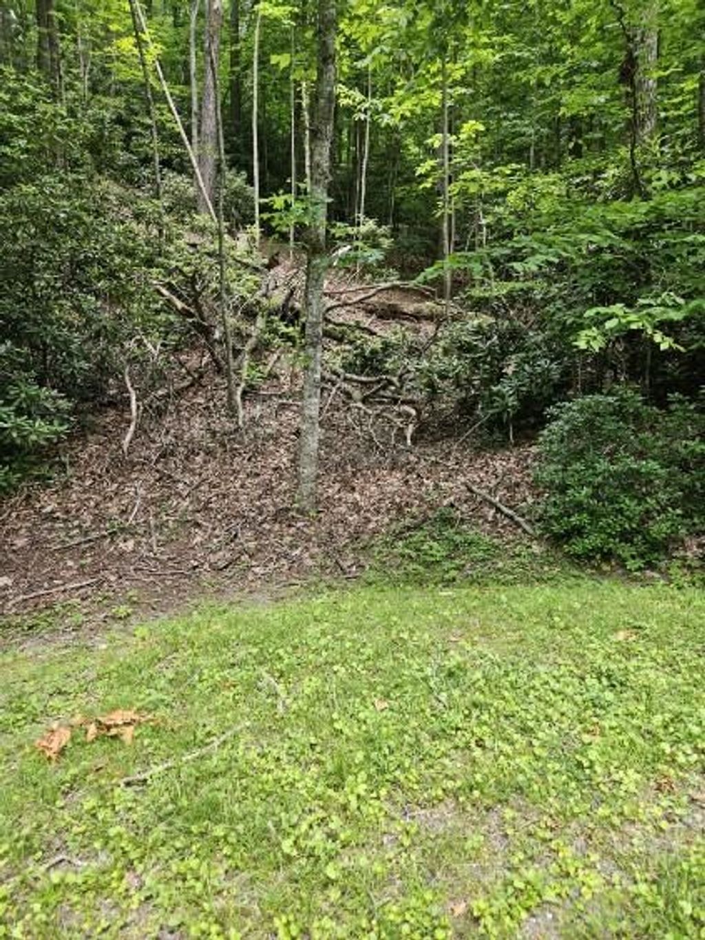 Photo of 16 Otter Creek Trail #E24, Fancy Gap, VA 24328 (MLS # 100567)