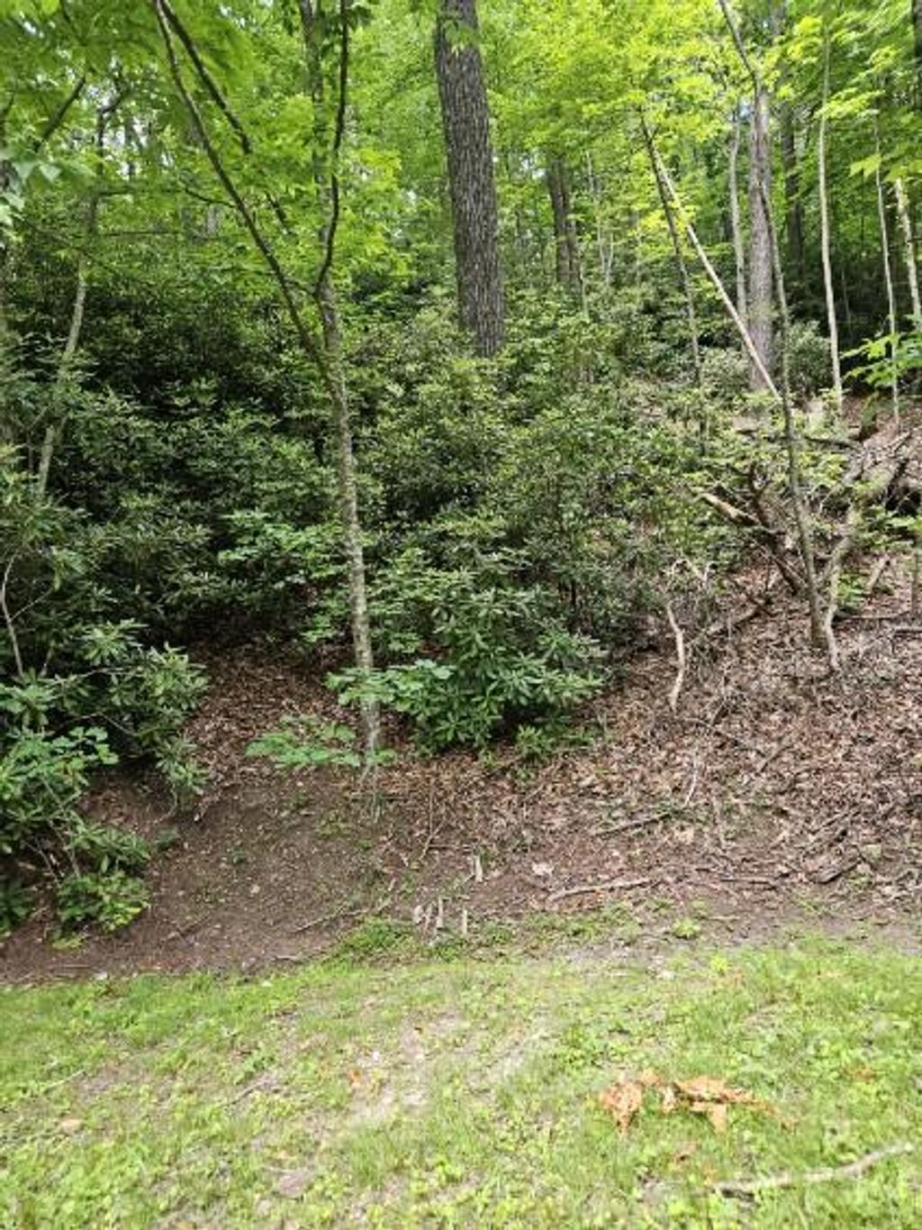 Photo of 16 Otter Creek Trail #E24, Fancy Gap, VA 24328 (MLS # 100567)