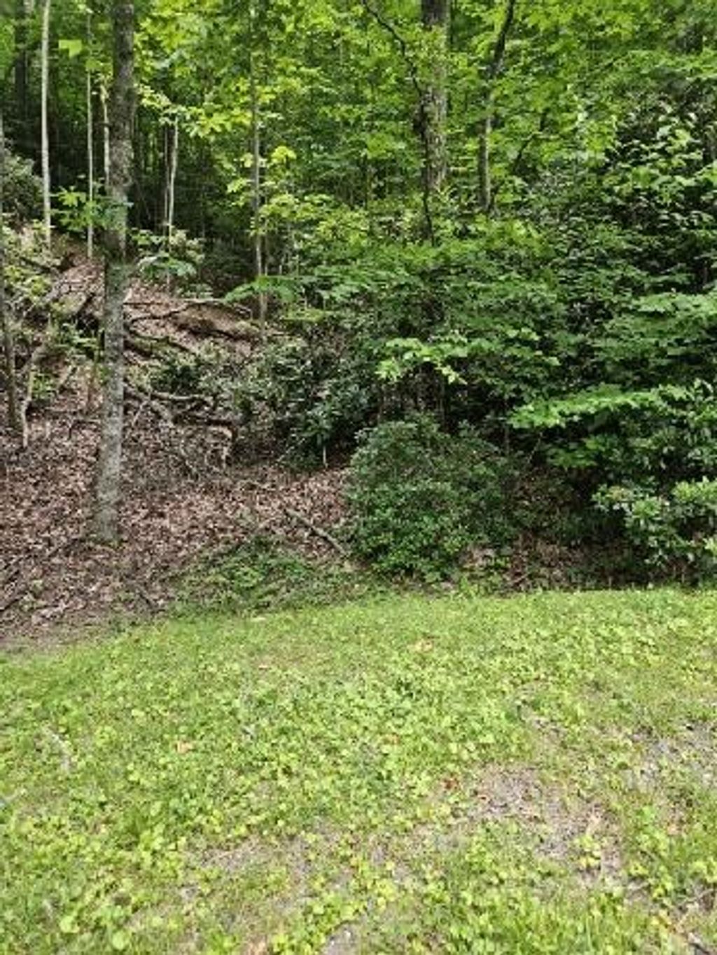 Photo of 16 Otter Creek Trail #E24, Fancy Gap, VA 24328 (MLS # 100567)