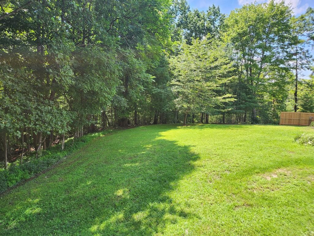 Photo of 381 Creek Valley Road, Stuart, VA 24171 (MLS # 111392)