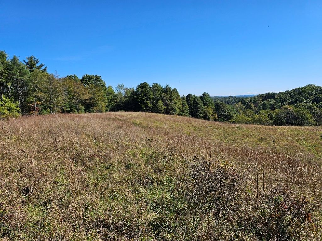 Photo of TBD Homestead Rd #0, Hillsville, VA 24343 (MLS # 103740)
