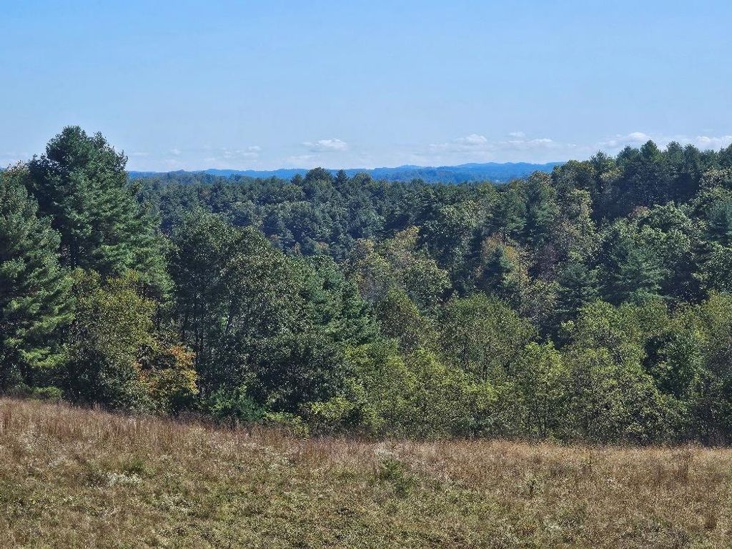 Photo of TBD Homestead Rd #0, Hillsville, VA 24343 (MLS # 103740)