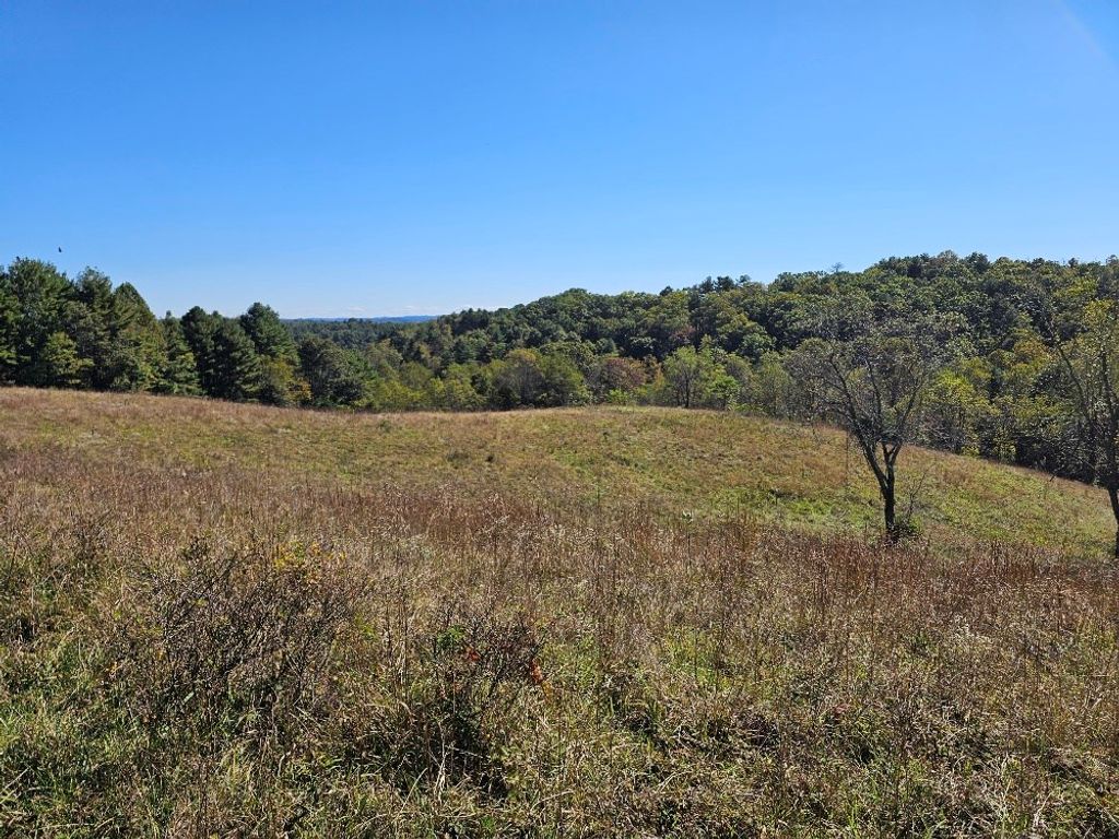 Photo of TBD Homestead Rd #0, Hillsville, VA 24343 (MLS # 103740)
