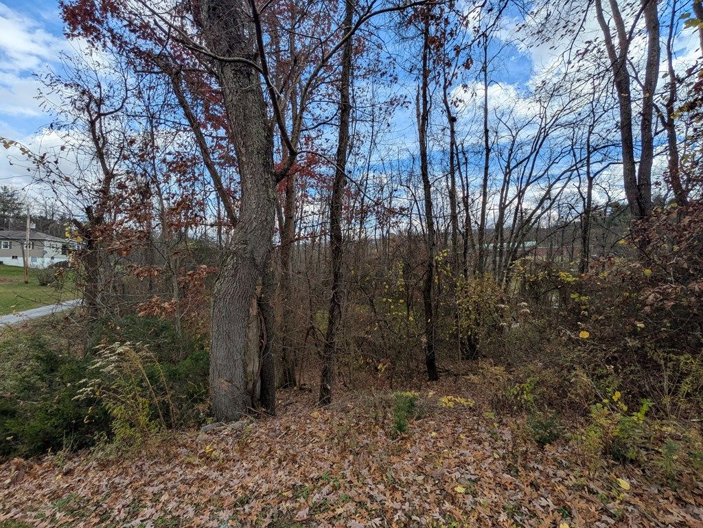 Photo of TBD Cobblestone Dr #1-15A, Cedar Bluff, VA 24609 (MLS # 104064)