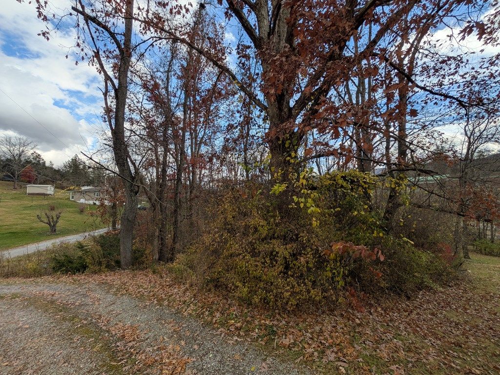 Photo of TBD Cobblestone Dr #1-15A, Cedar Bluff, VA 24609 (MLS # 104064)