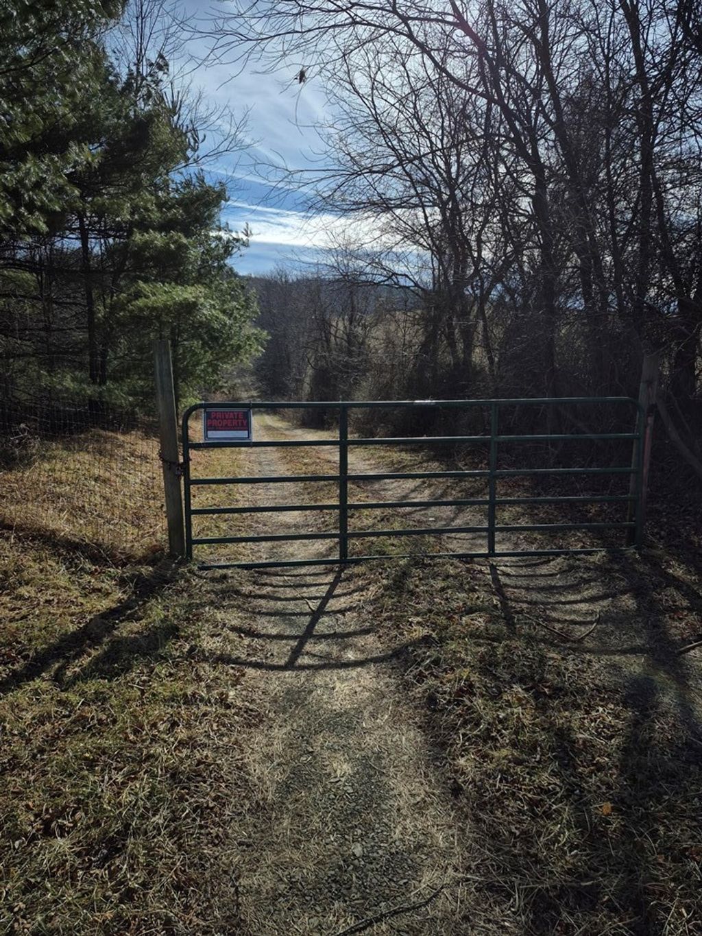 Photo of 6847 Floyd Hwy S Hwy #81, Willis, VA 24380 (MLS # 105781)