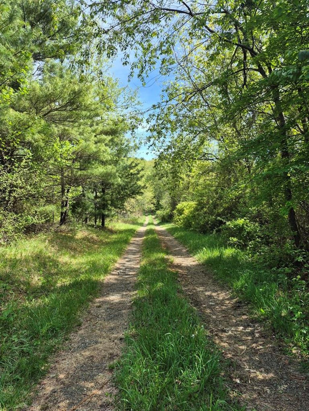 Photo of 6847 Floyd Hwy S Hwy #81, Willis, VA 24380 (MLS # 105781)