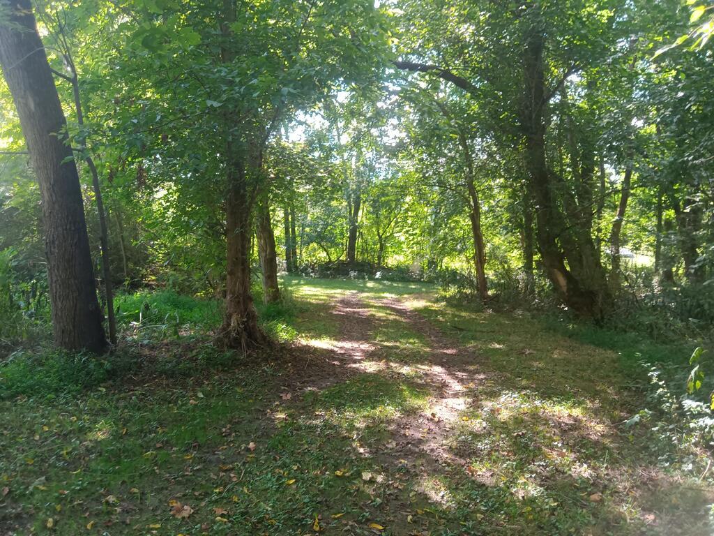 Photo of 2364 Saltville Highway #0, Saltville, VA 24370 (MLS # 111763)