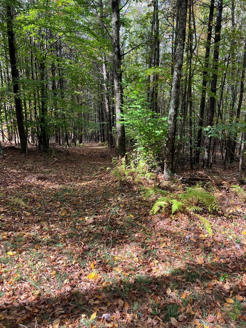 Photo of TBD Snow Ridge Lane #20, Fancy Gap, VA 24328 (MLS # 103682)