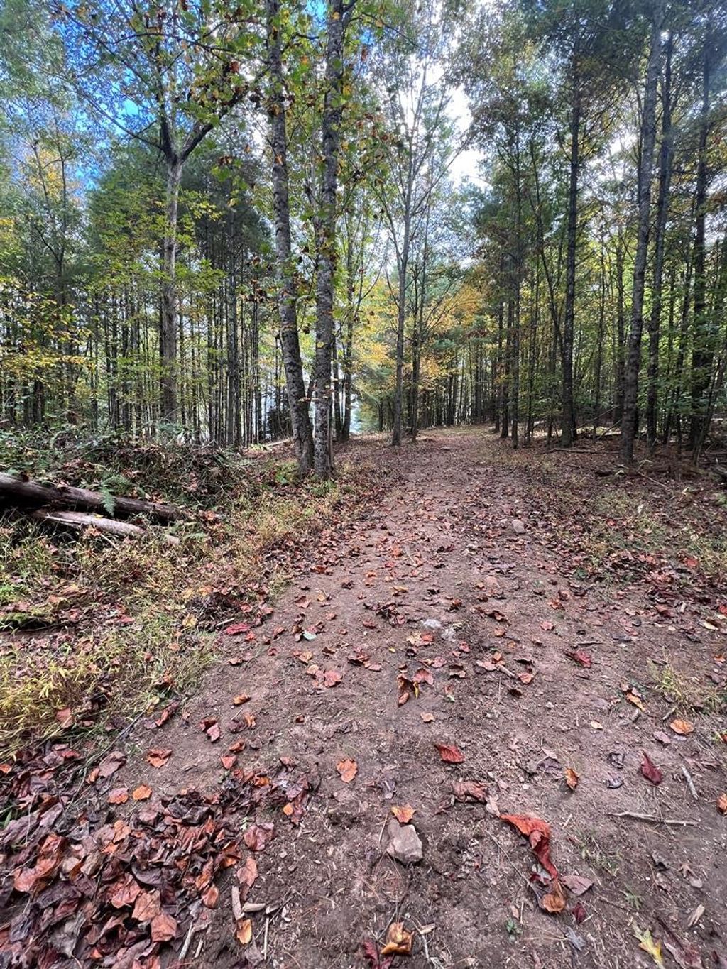 Photo of TBD Snow Ridge Lane #20, Fancy Gap, VA 24328 (MLS # 103682)