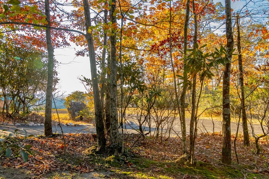 Photo of 41 Moonlight Ln #41, Fancy Gap, VA 24328 (MLS # 103857)