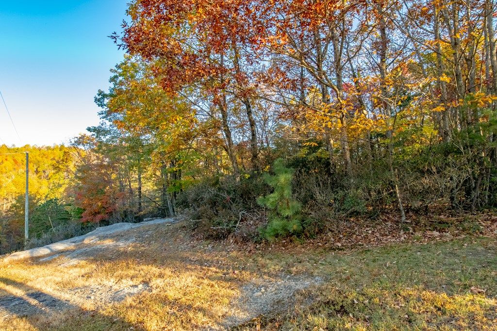 Photo of 41 Moonlight Ln #41, Fancy Gap, VA 24328 (MLS # 103857)