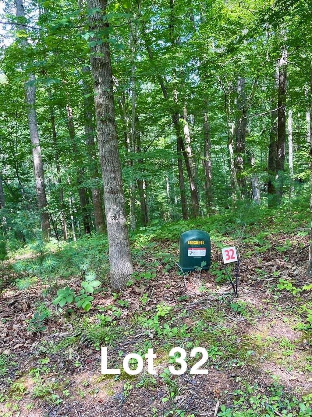 Photo of 32 Reserve Trail #32, Stuart, VA 24171 (MLS # 109060)