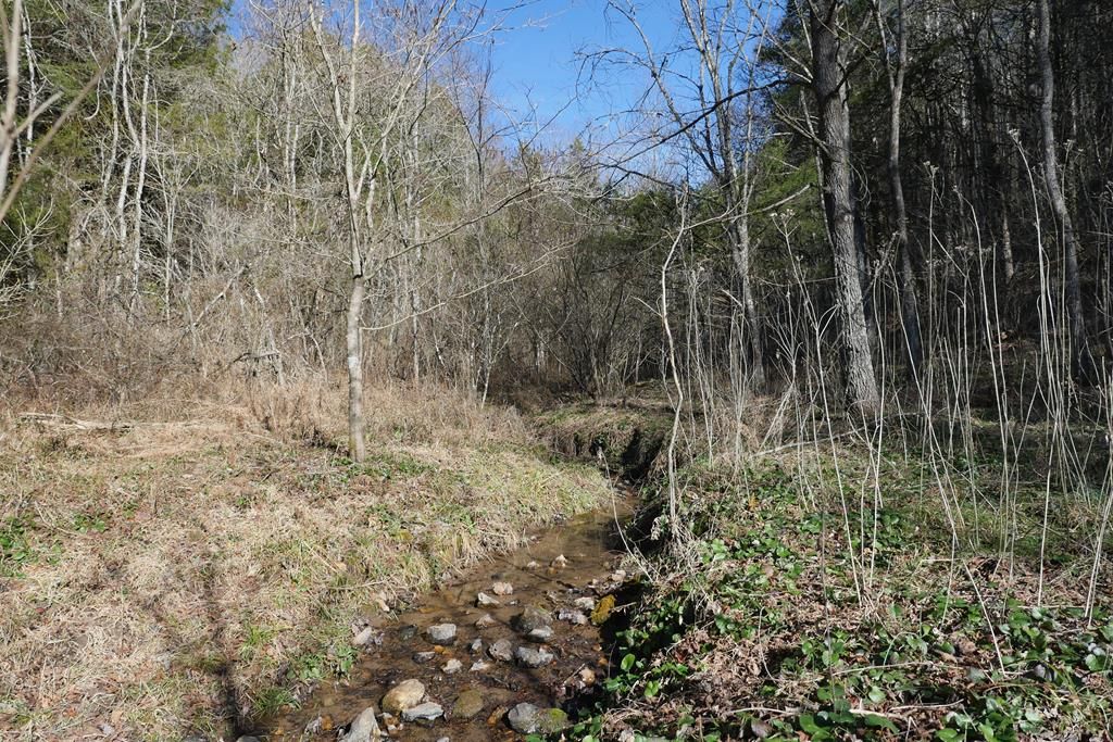 Photo of TBD Dean Road #0, Rose Hill, VA 24281 (MLS # 104471)