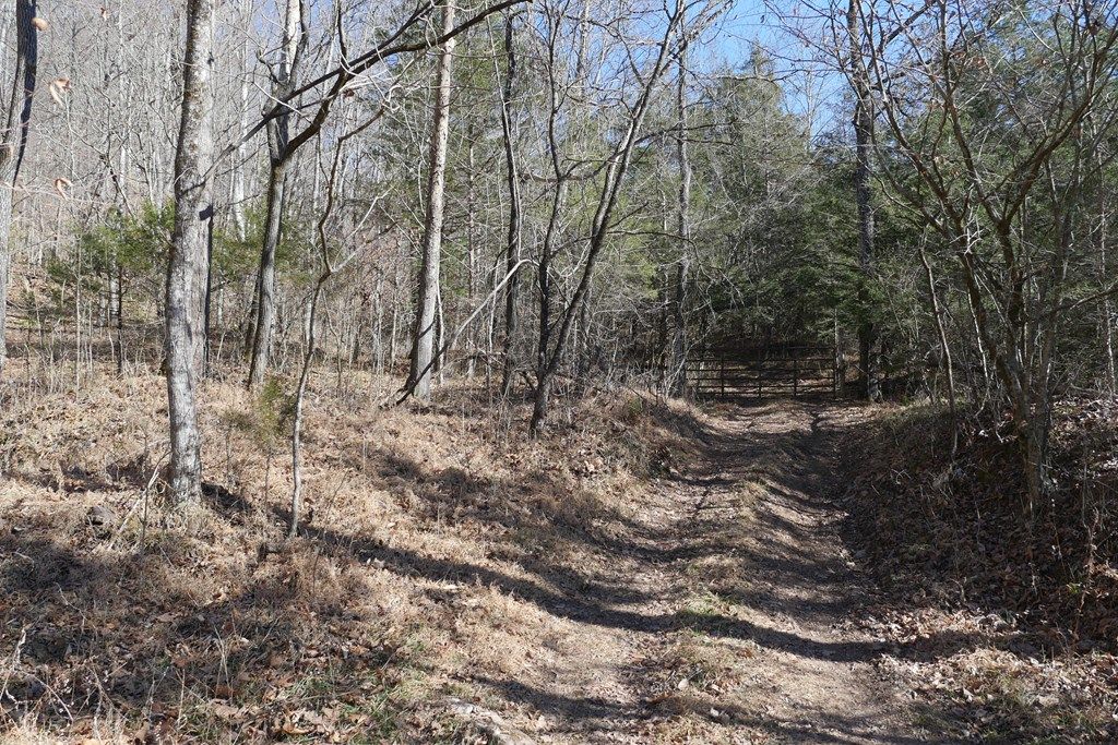 Photo of TBD Dean Road #0, Rose Hill, VA 24281 (MLS # 104471)