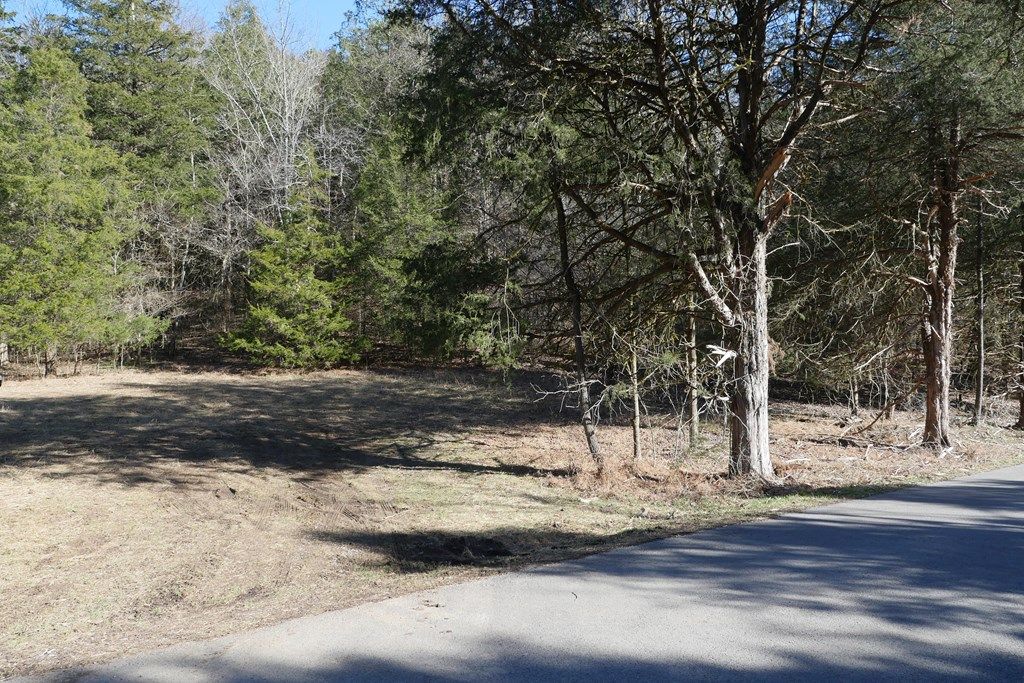 Photo of TBD Dean Road #0, Rose Hill, VA 24281 (MLS # 104471)