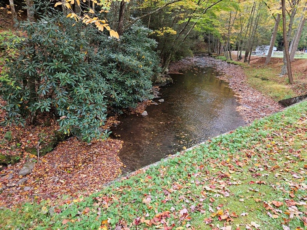 Photo of 14 Pennington Branch Road #14B, Damascus, VA 24236 (MLS # 104147)