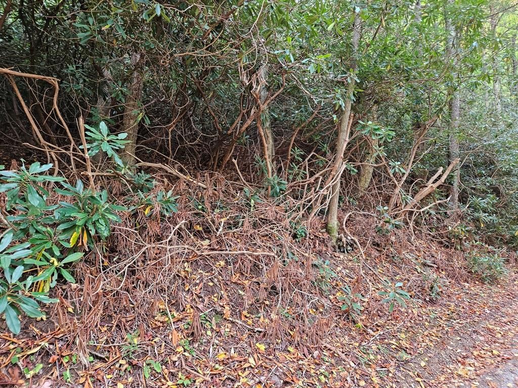 Photo of 14 Pennington Branch Road #14B, Damascus, VA 24236 (MLS # 104147)