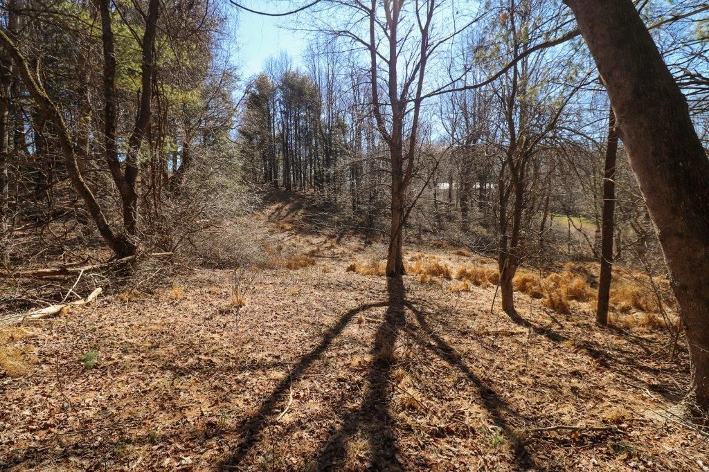 Photo of 65 Southern View Trail #65, Fancy Gap, VA 24328 (MLS # 92859)