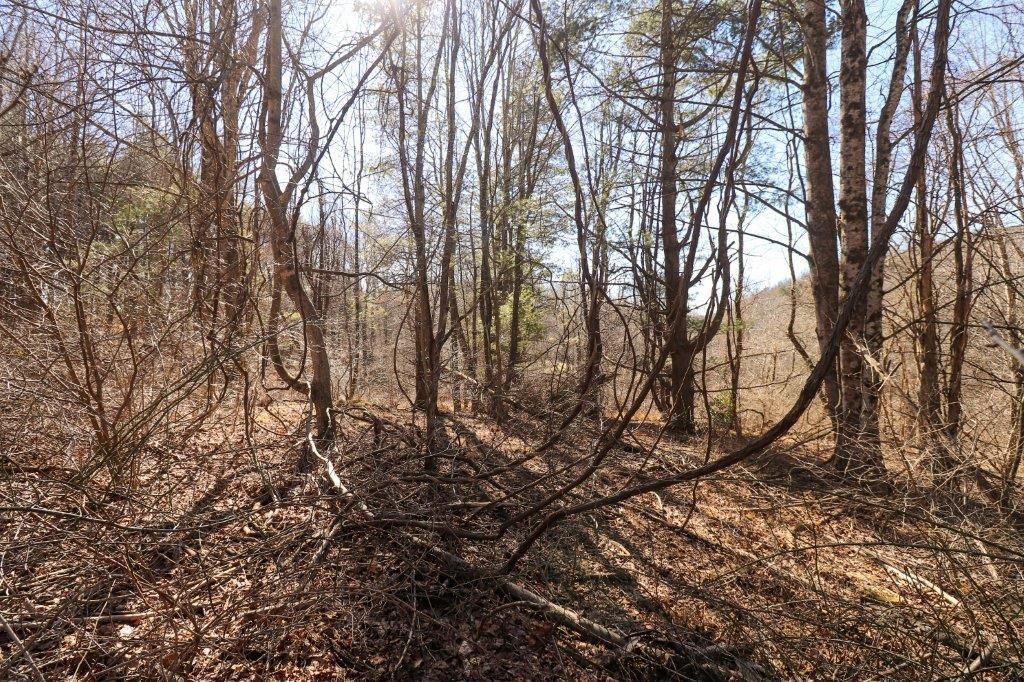 Photo of 65 Southern View Trail #65, Fancy Gap, VA 24328 (MLS # 92859)