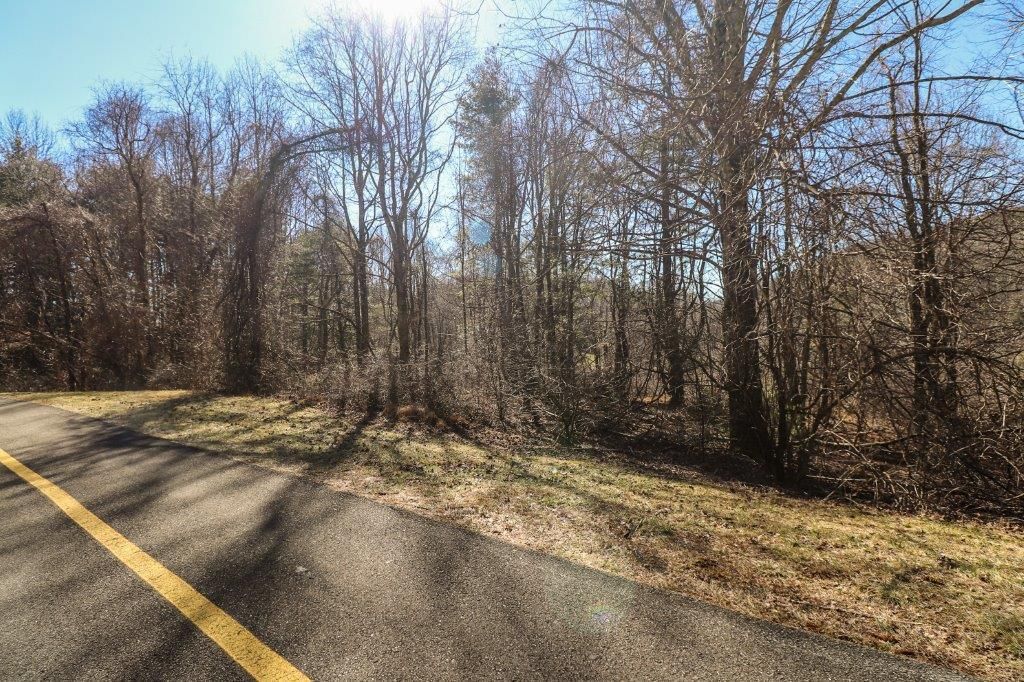 Photo of 65 Southern View Trail #65, Fancy Gap, VA 24328 (MLS # 92859)