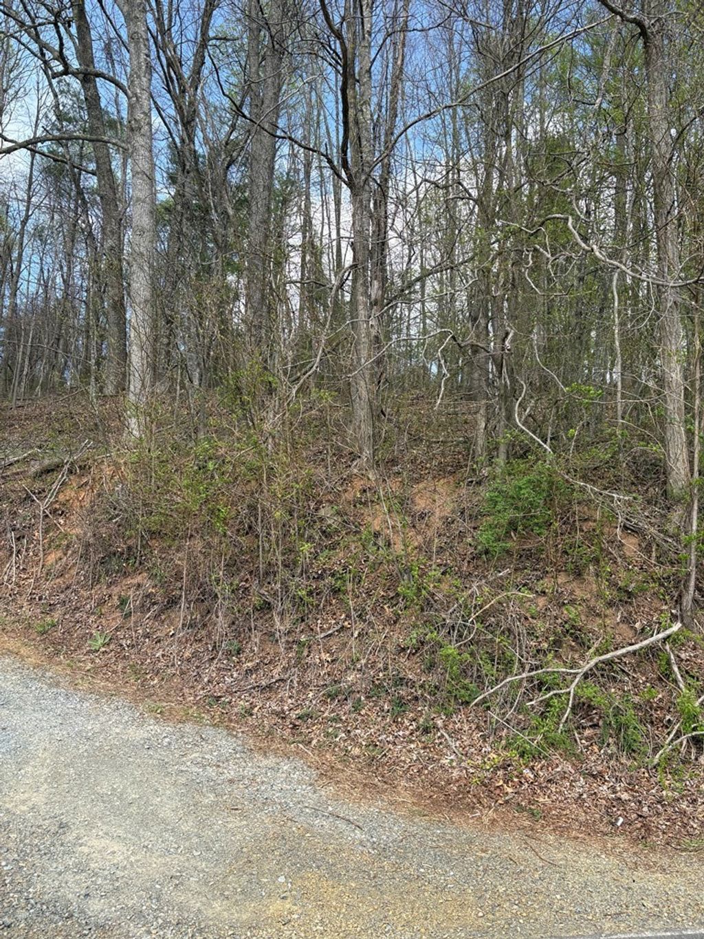 Photo of TBD Tower Rd #n/a, Galax, VA 24333 (MLS # 109606)
