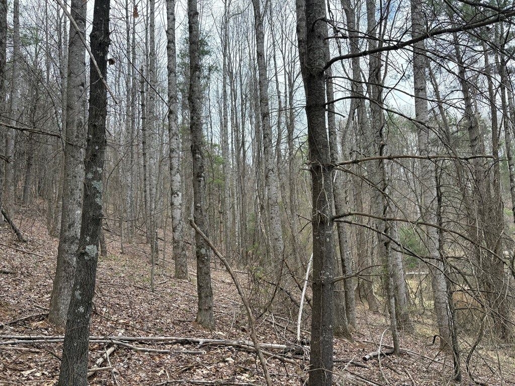 Photo of TBD Tower Rd #n/a, Galax, VA 24333 (MLS # 109606)