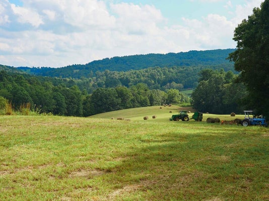 107 SHADY GROVE RD NW, WILLIS, VA 24380 - Image feb9ea400a18948f7ceb9d809d7fe506/133687807