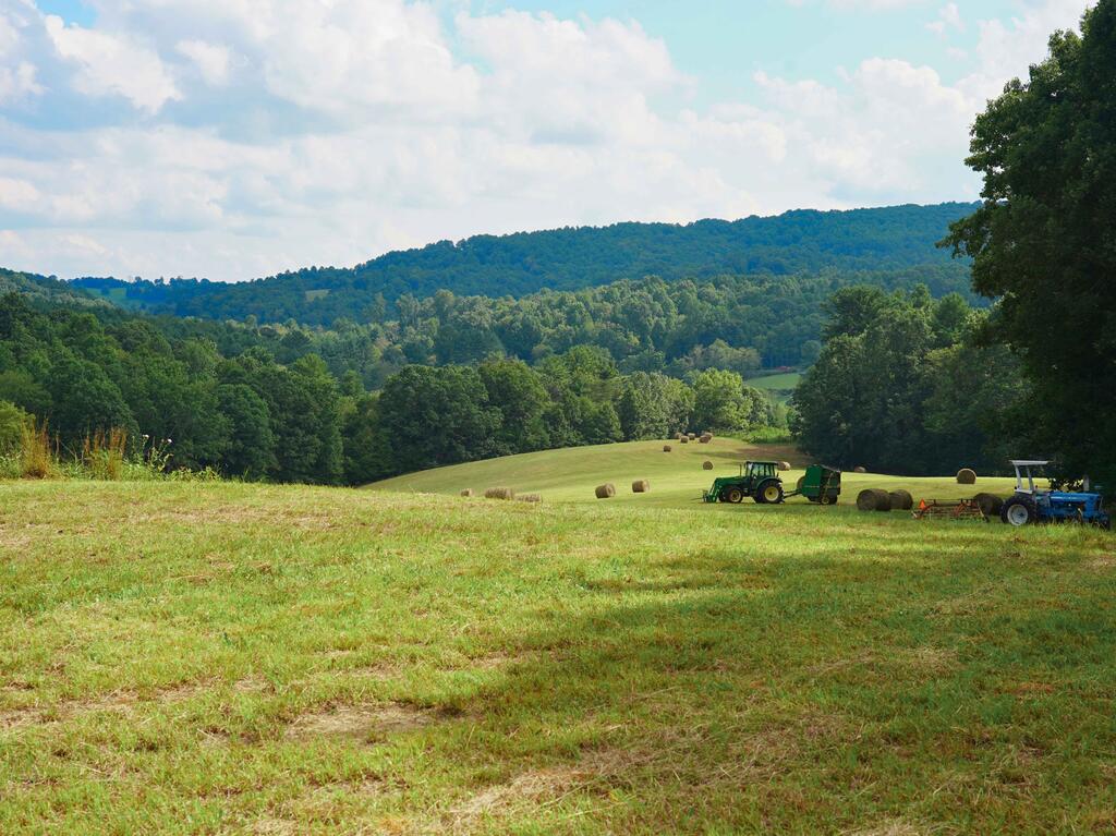 Photo of 000 NW Shady Grove Road #n/a, Willis, VA 24380 (MLS # 111742)