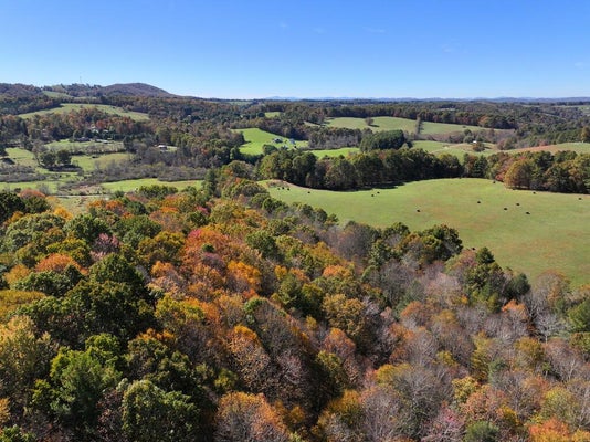 107 SHADY GROVE RD NW, WILLIS, VA 24380 - Image feb9ea400a18948f7ceb9d809d7fe506/2846335080