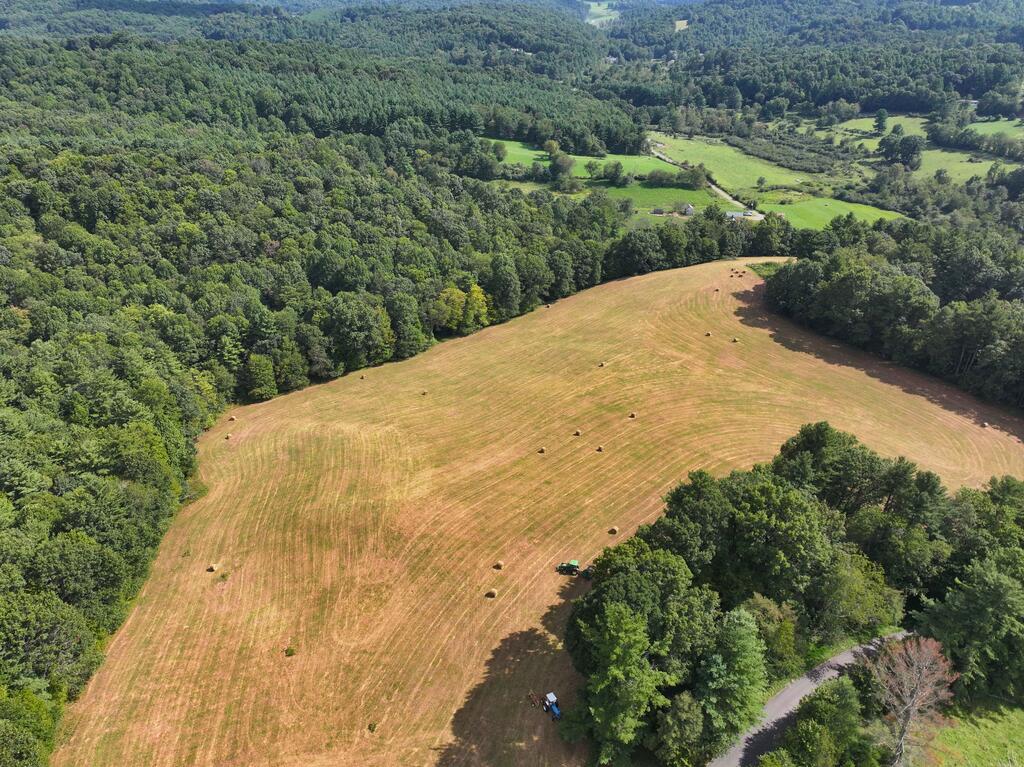 Photo of 000 NW Shady Grove Road #n/a, Willis, VA 24380 (MLS # 111742)
