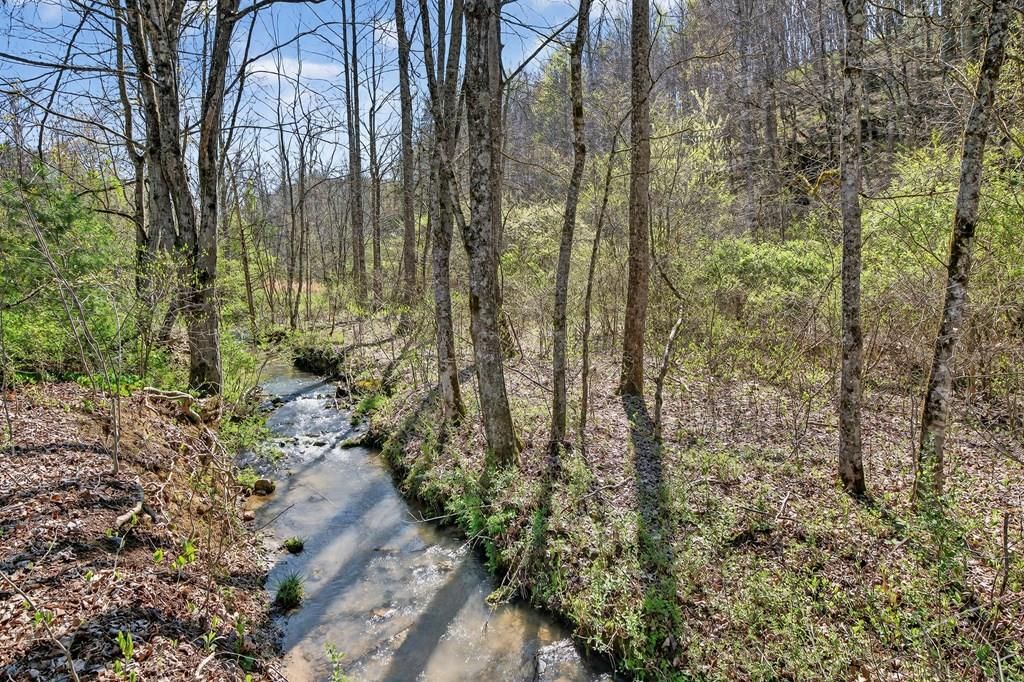 Photo of 2484 Denton Valley Road #0, Bristol, TN 37620 (MLS # 109494)