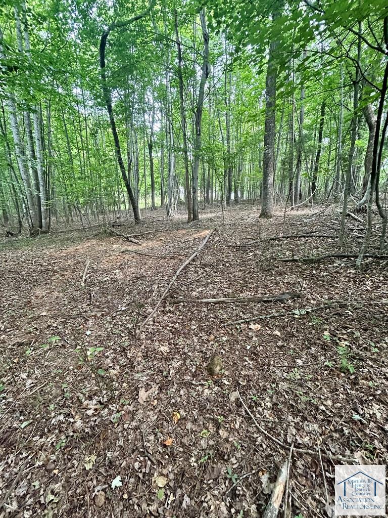 00 Hazelwood Dr