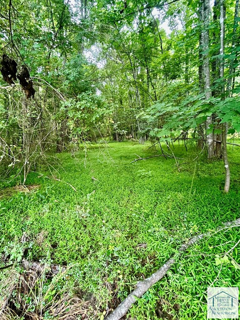 00 Hazelwood Dr