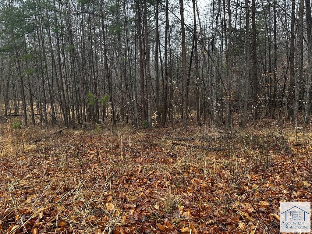 tbd Lauren Mill Dr